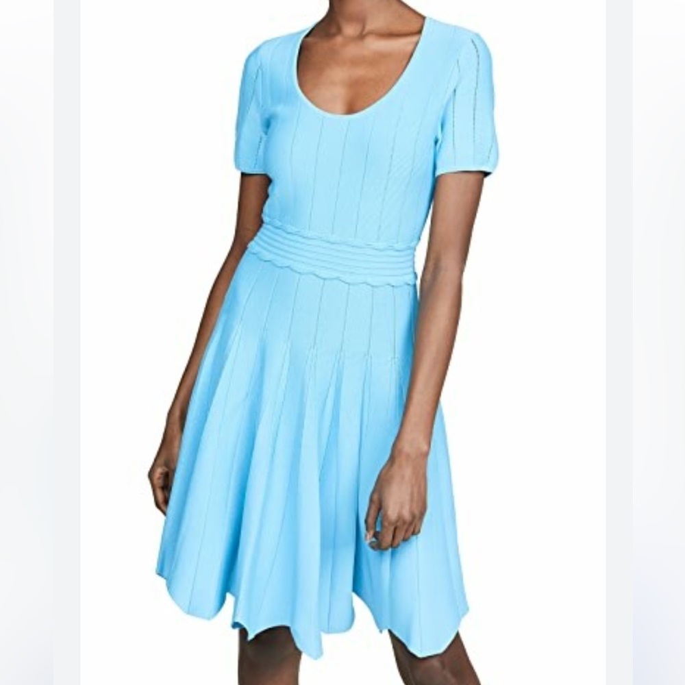 Shoshanna Blue short Sleeve Jonetta Knit
Fit and Flare Dress - Picture 2 of 7